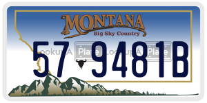 579481B  license plate in MT