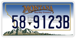 589123B  license plate in MT