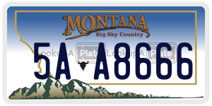 5AA8666  license plate in MT