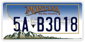 5AB3018  license plate in MT