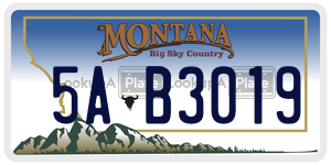 5AB3019  license plate in MT