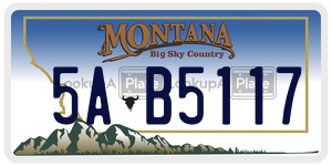 5AB5117  license plate in MT