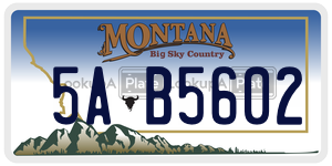 5AB5602  license plate in MT