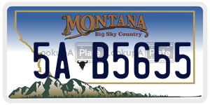 5AB5655  license plate in MT