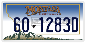 601283D  license plate in MT