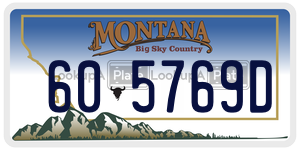 605769D  license plate in MT