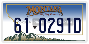 610291D  license plate in MT