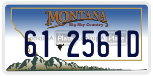 612561D  license plate in MT