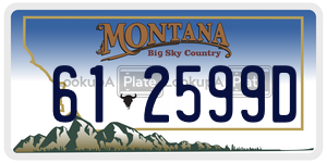 612599D  license plate in MT