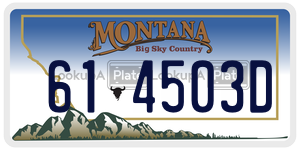 614503D license plate in Montana