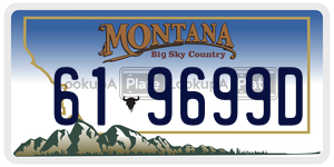 619699D license plate in Montana