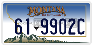 619902C license plate in Montana