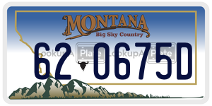620675D  license plate in MT