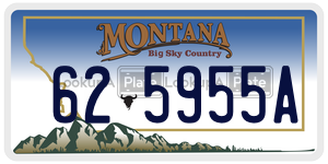 625955A license plate in Montana