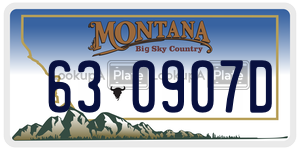 630907D  license plate in MT
