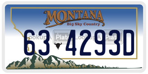 634293D license plate in Montana