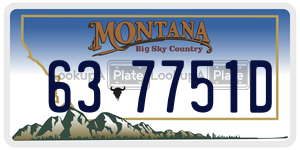 637751D  license plate in MT