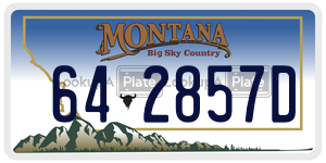 642857D  license plate in MT