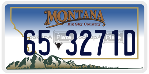 653271D  license plate in MT