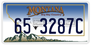 653287C  license plate in MT