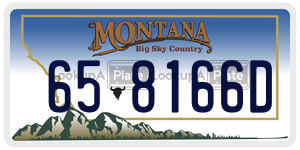 658166D  license plate in MT