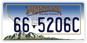 665206C  license plate in MT