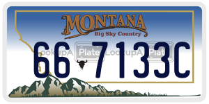 667133C  license plate in MT