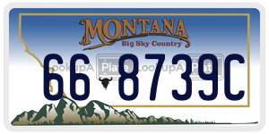 668739C license plate in Montana