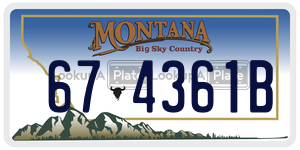674361B  license plate in MT