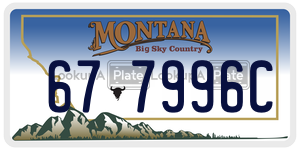 677996C  license plate in MT
