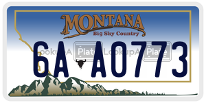 6AA0773  license plate in MT