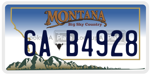 6AB4928  license plate in MT