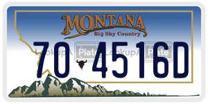704516D license plate in Montana