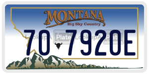 707920E  license plate in MT