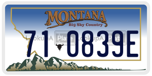 710839E  license plate in MT