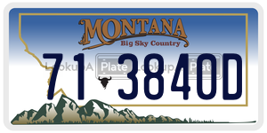 713840D  license plate in MT