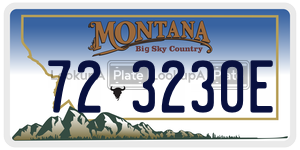 723230E  license plate in MT