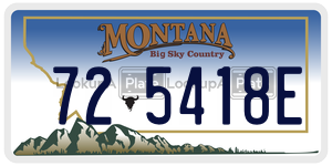 725418E  license plate in MT