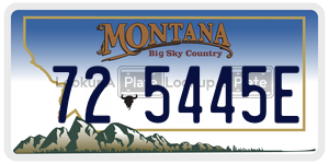 725445E  license plate in MT
