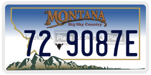 729087E  license plate in MT