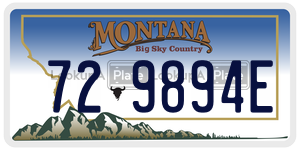 729894E  license plate in MT