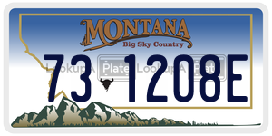 731208E license plate in Montana