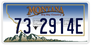 732914E  license plate in MT