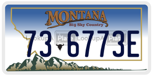 736773E  license plate in MT