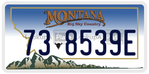 738539E  license plate in MT
