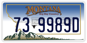 739989D  license plate in MT