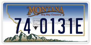 740131E license plate in Montana