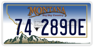 742890E  license plate in MT