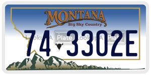 743302E  license plate in MT