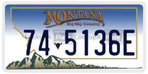 745136E  license plate in MT